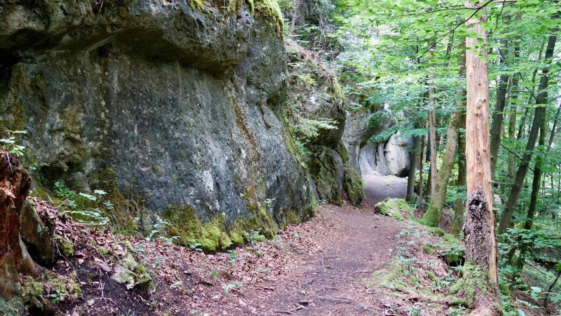 Ferienwohnung Am Walberla / Fraenkische Schweiz Kirchehrenbach Bagian luar foto